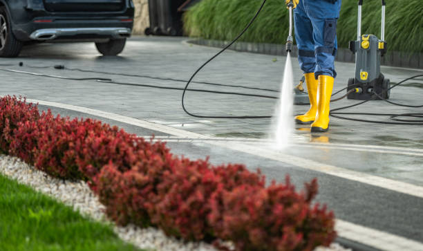 Professional Pressure Washing in Union Springs, AL