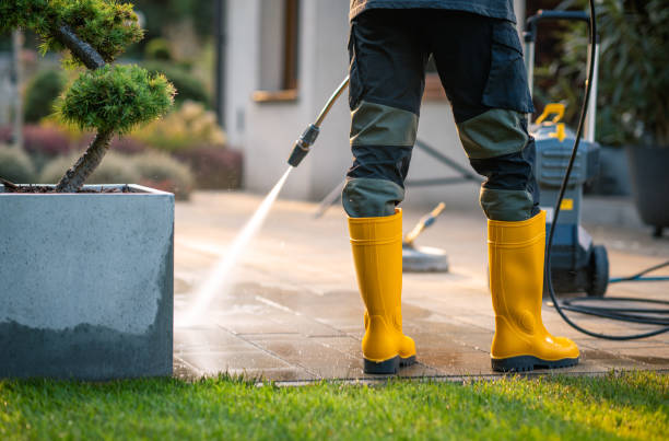 Best Local Pressure Washing Services  in Union Springs, AL